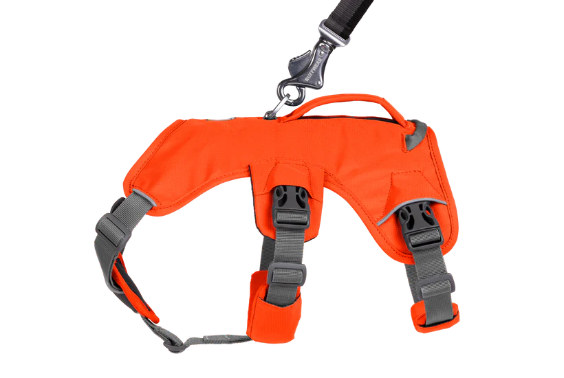 Ruffwear Dog Harness, Web Master (New Colours)