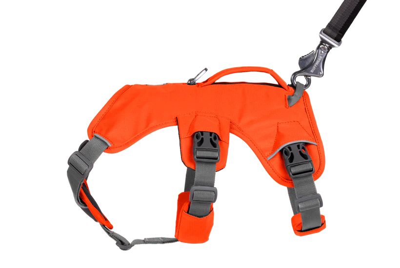 Ruffwear Dog Harness, Web Master (New Colours)