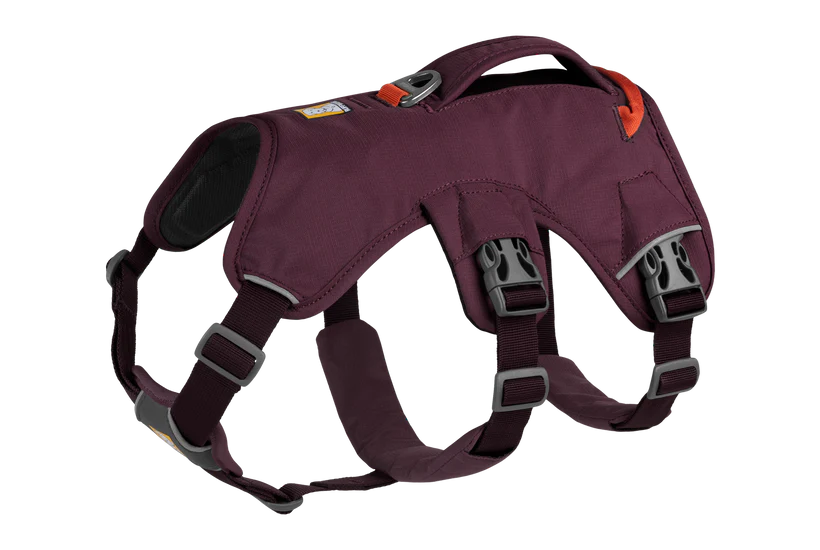 Ruffwear Dog Harness, Web Master (New Colours)