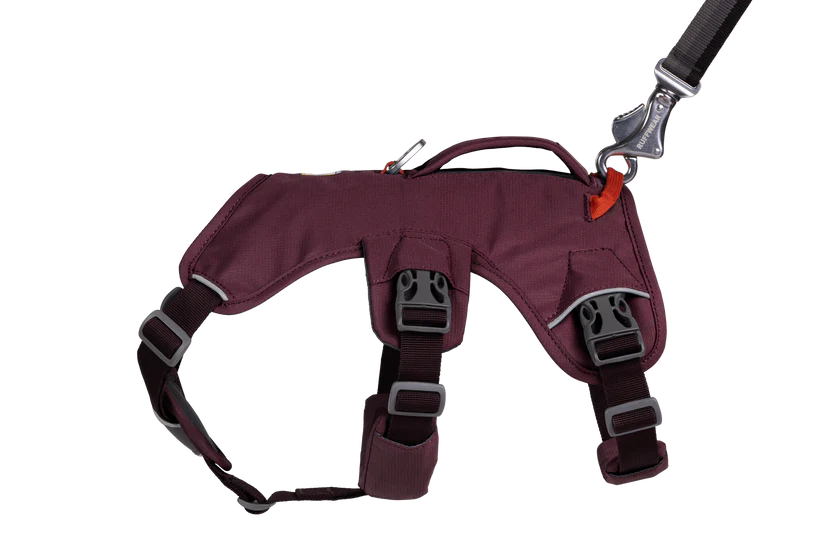 Ruffwear Dog Harness, Web Master (New Colours)