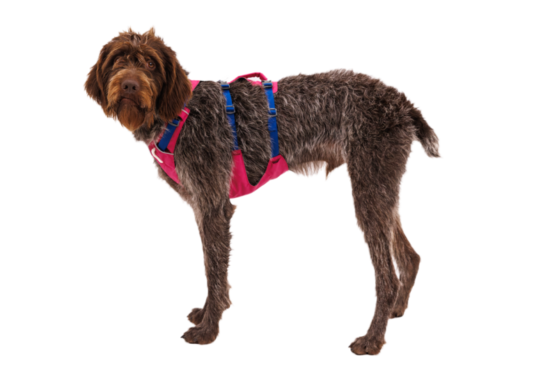 Ruffwear Dog Harness With Handle: Flagline