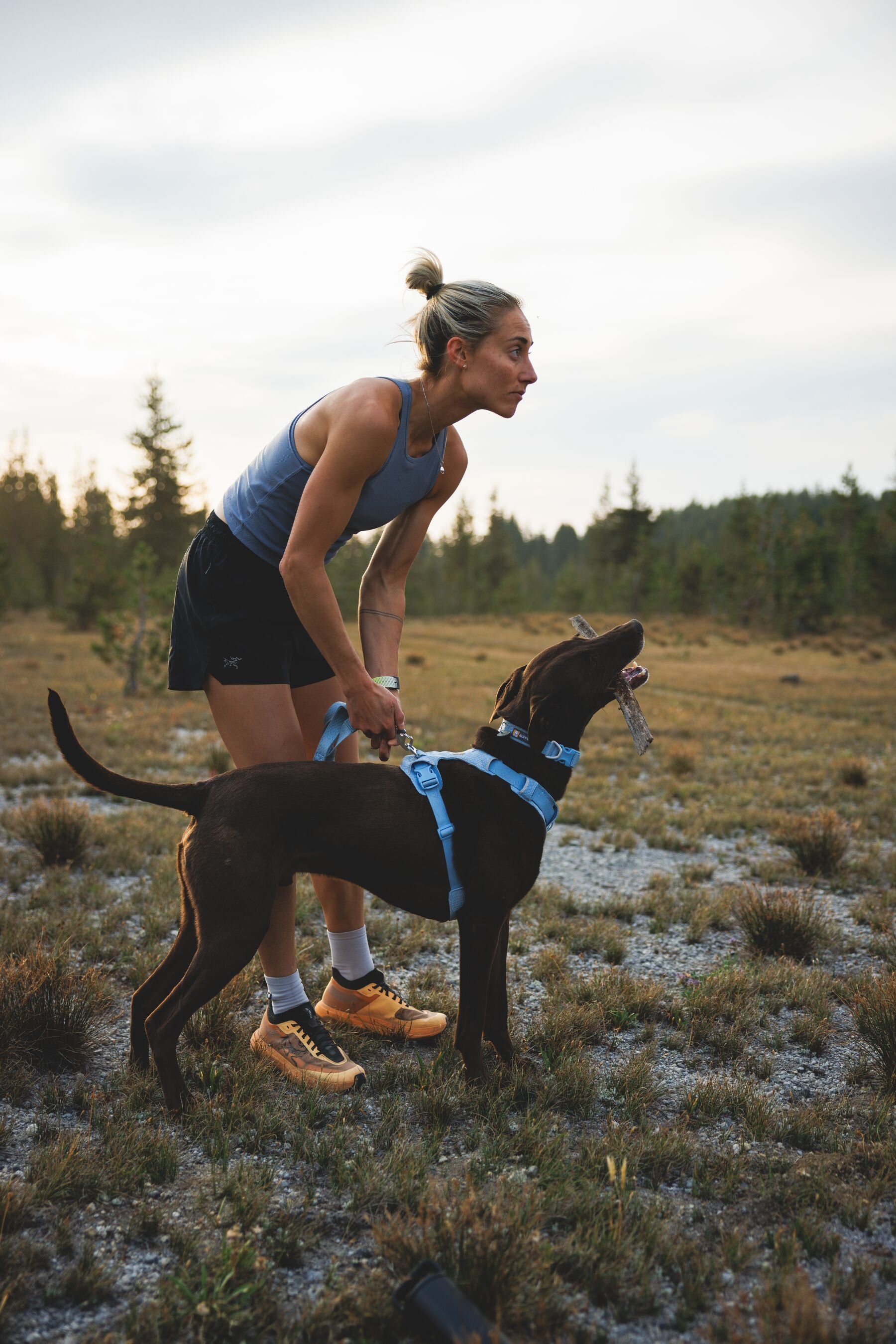 Ruffwear Dog Harness, Front Range Flex Harness