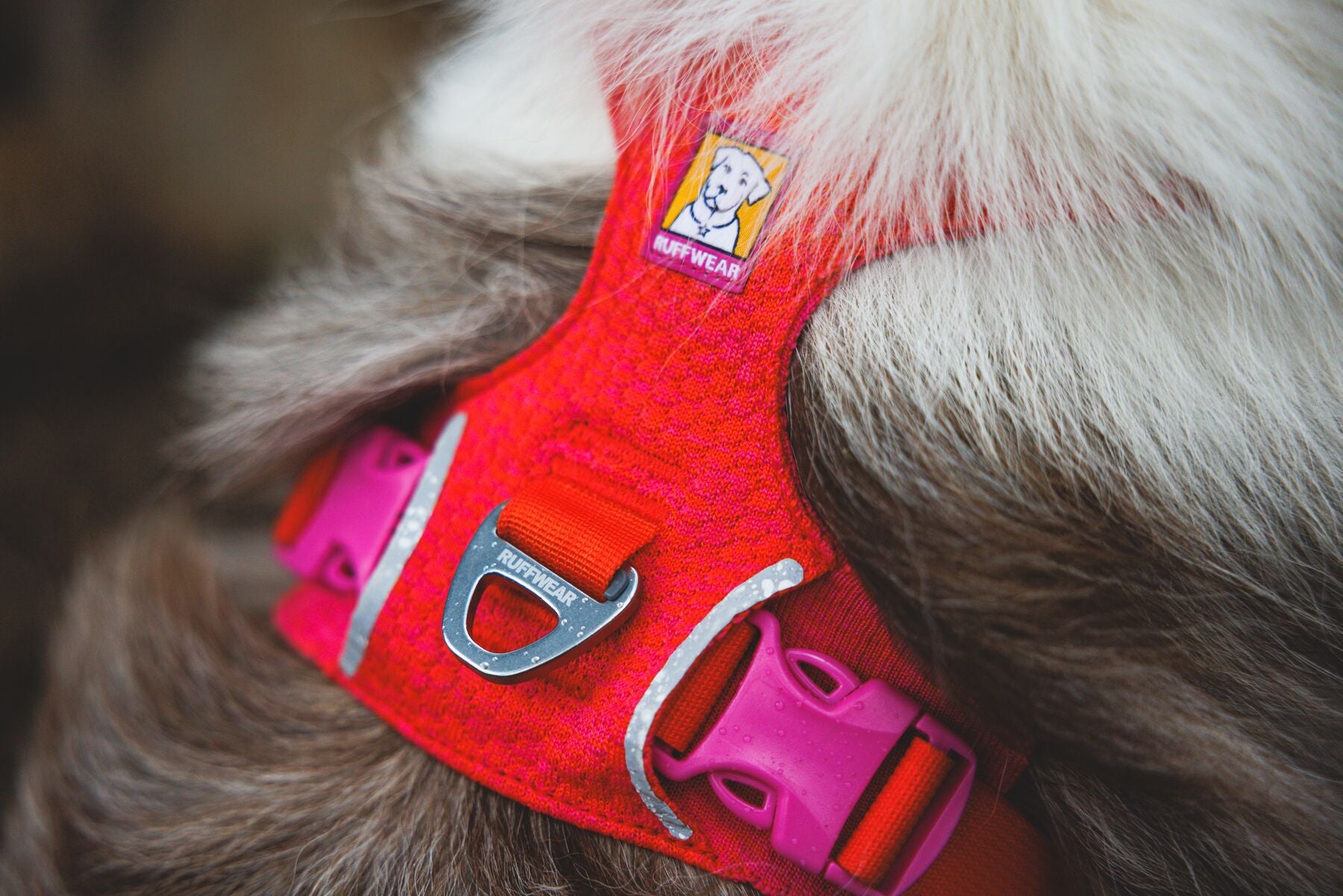 Ruffwear Dog Harness, Front Range Flex Harness