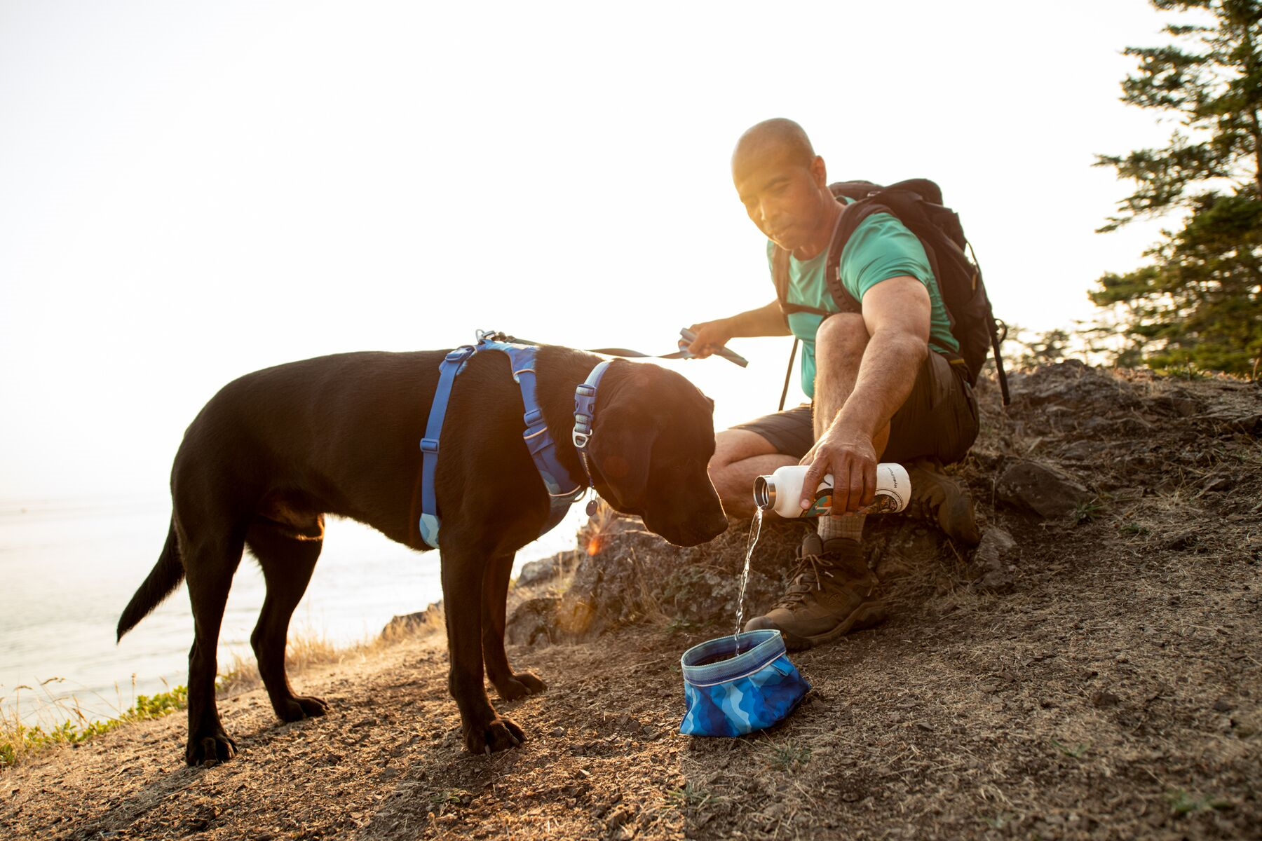 Ruffwear Dog No-Pull Harness, Front Range