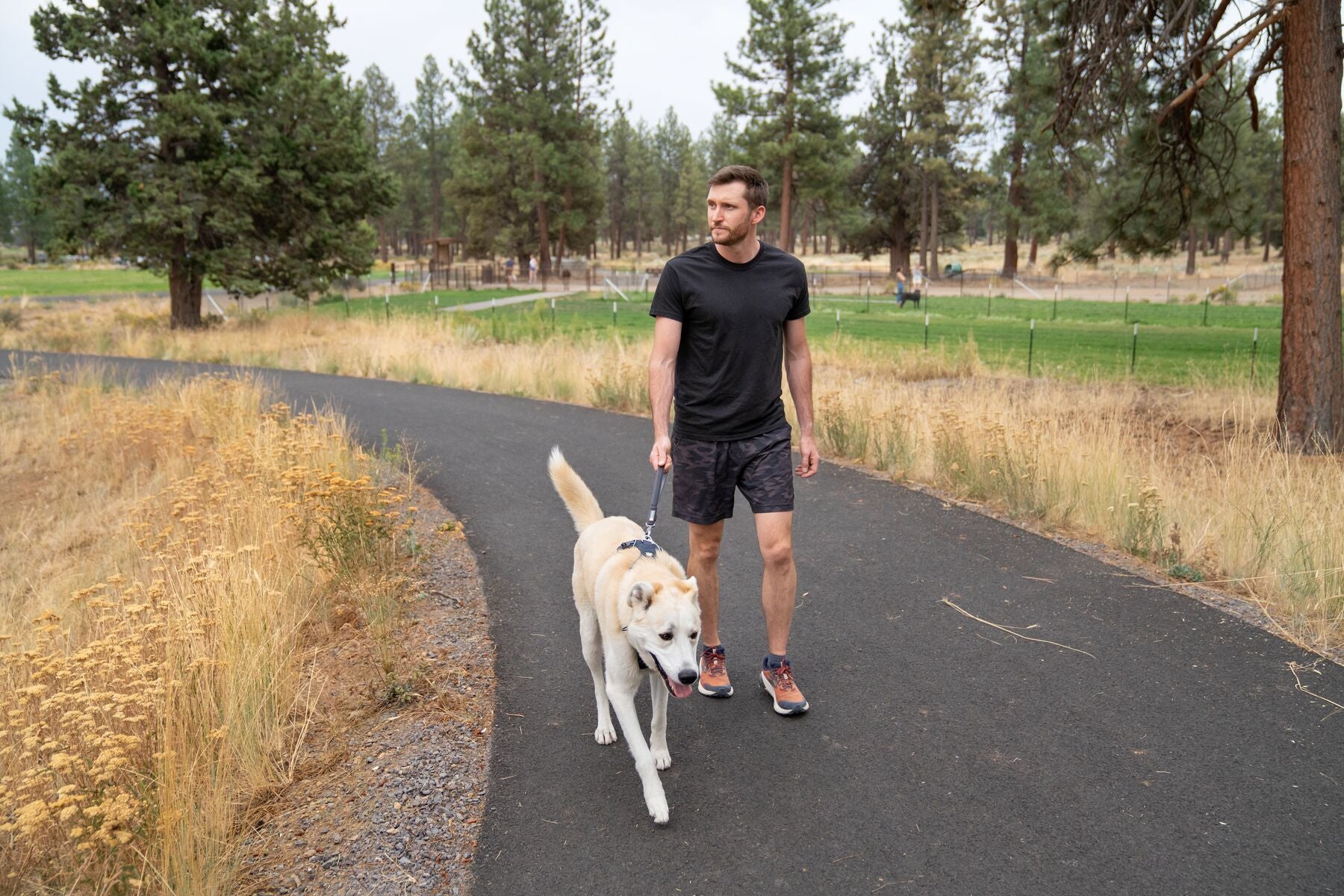 Ruffwear Front Range Short Lead in 15-inch length featuring a lockable Crux Clip and padded handle for close dog control.