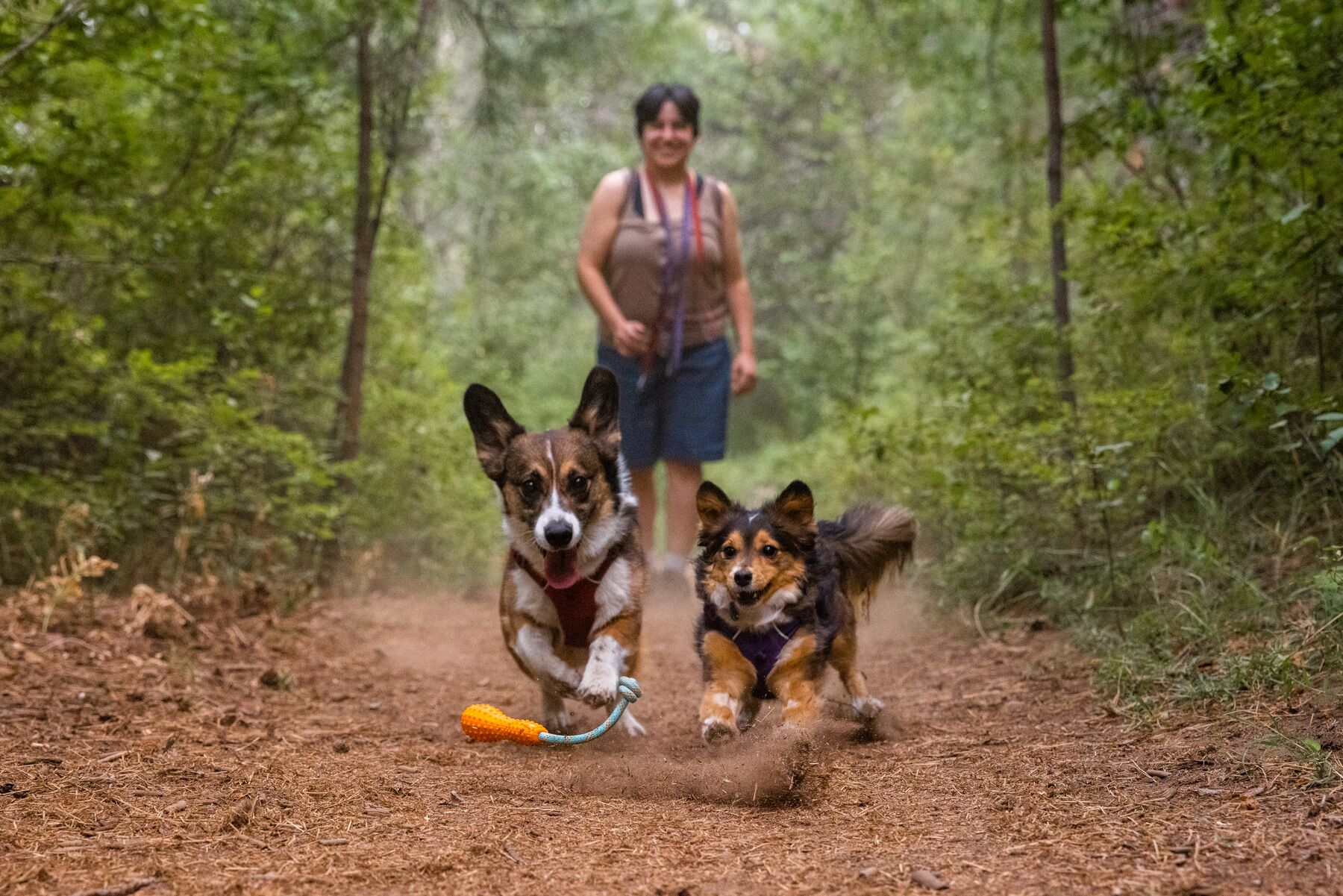 Ruffwear Gourdo Rubber Throw Dog Toy