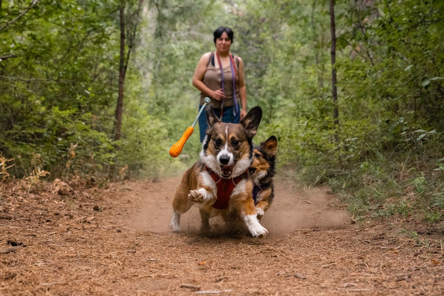 Ruffwear Gourdo Rubber Throw Dog Toy