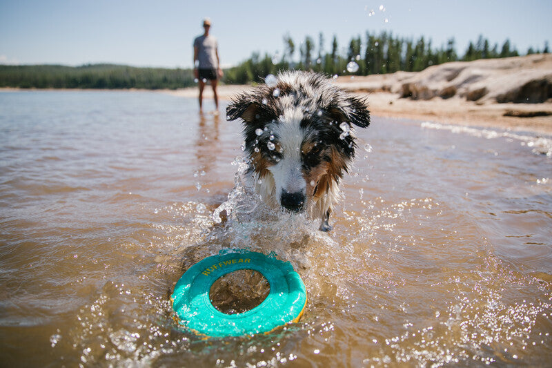 Ruffwear Hydro Plane Floating Throw Dog Toy