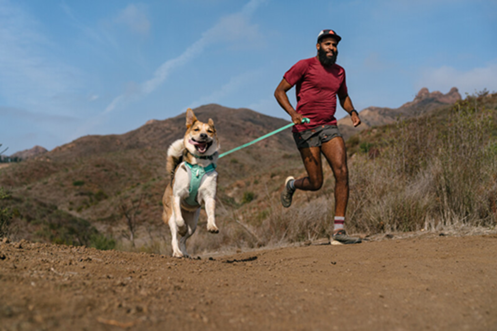 Ruffwear Lightweight Dog Leash: Hi & Light