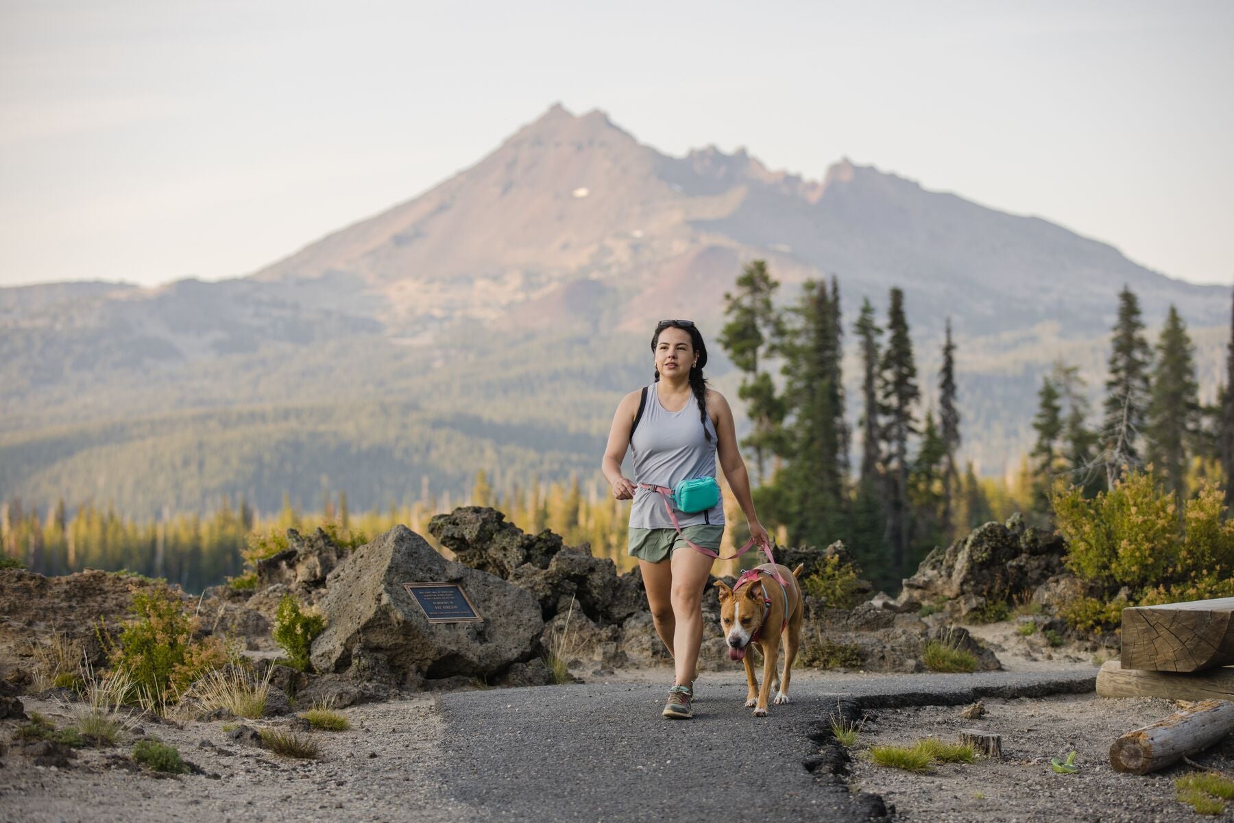 Ruffwear Lightweight Hands-free Dog Leash: Flagline