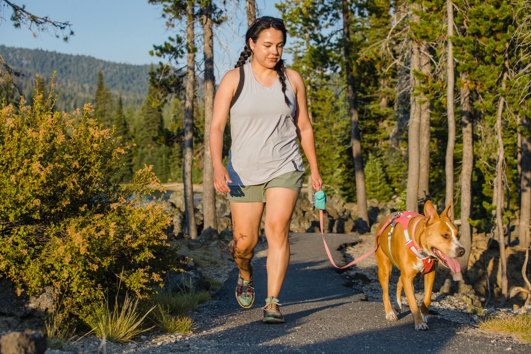 Ruffwear Lightweight Hands-free Dog Leash: Flagline