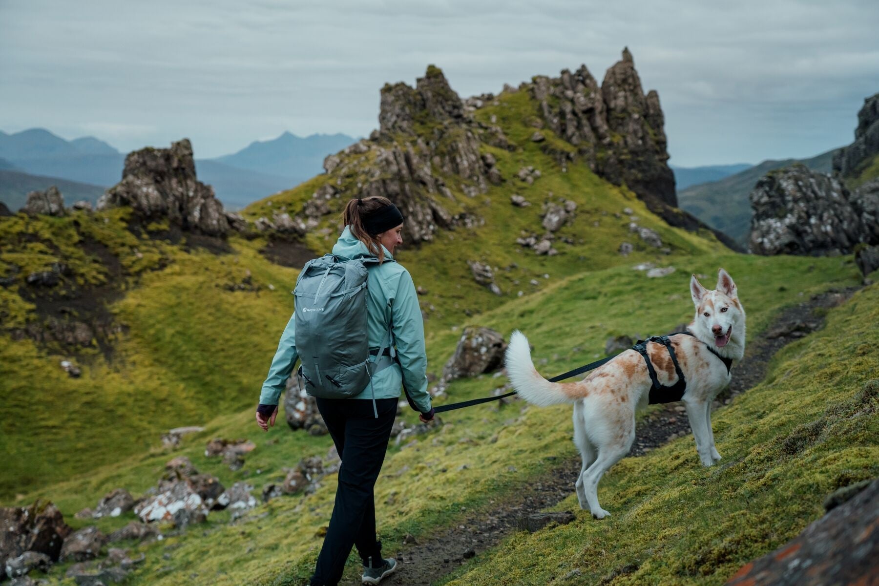 Ruffwear Ridgeline Harness in a streamlined, waterproof X-Pac laminate shell for active dogs.