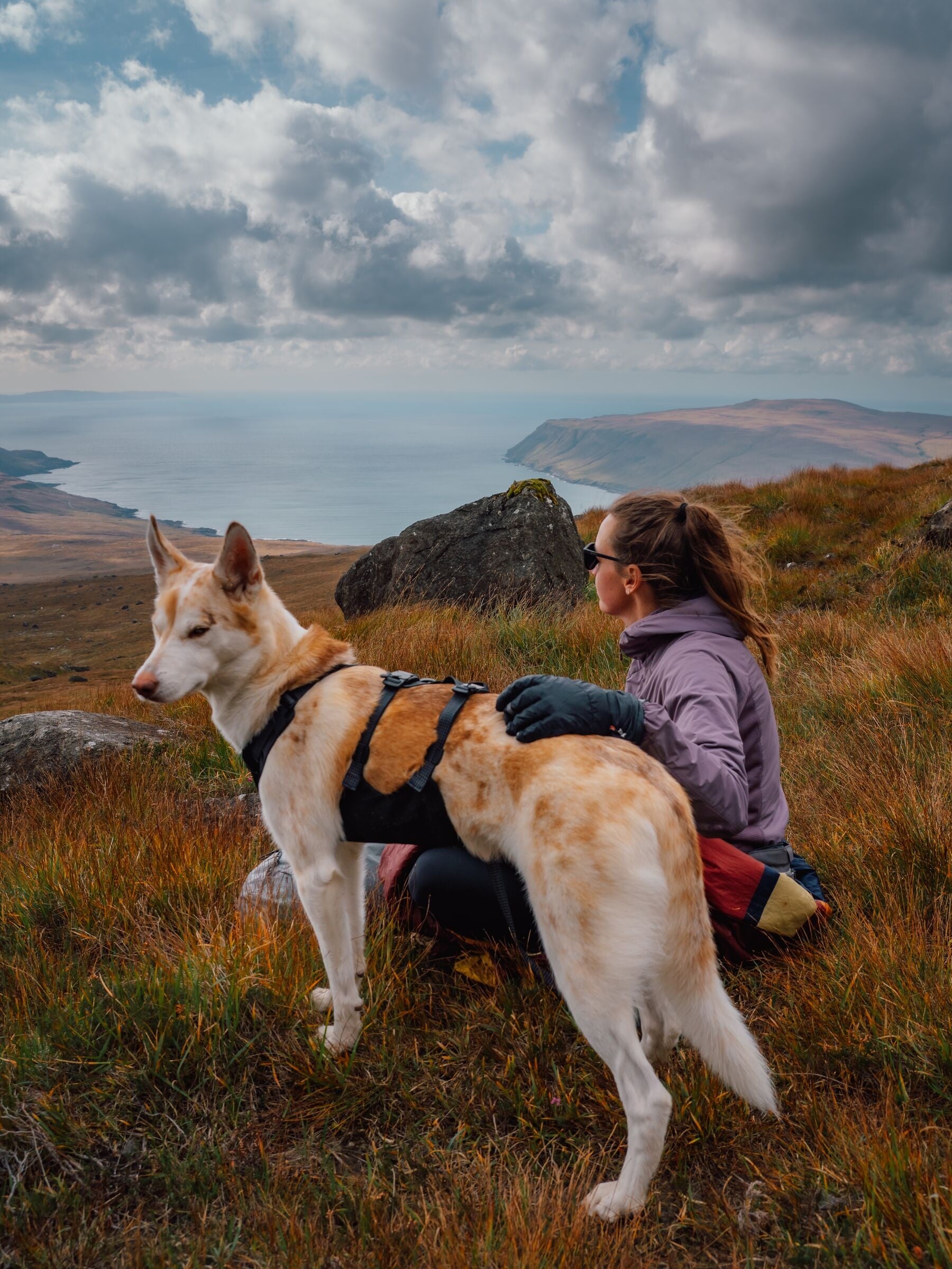Ruffwear Ridgeline Harness in a streamlined, waterproof X-Pac laminate shell for active dogs.