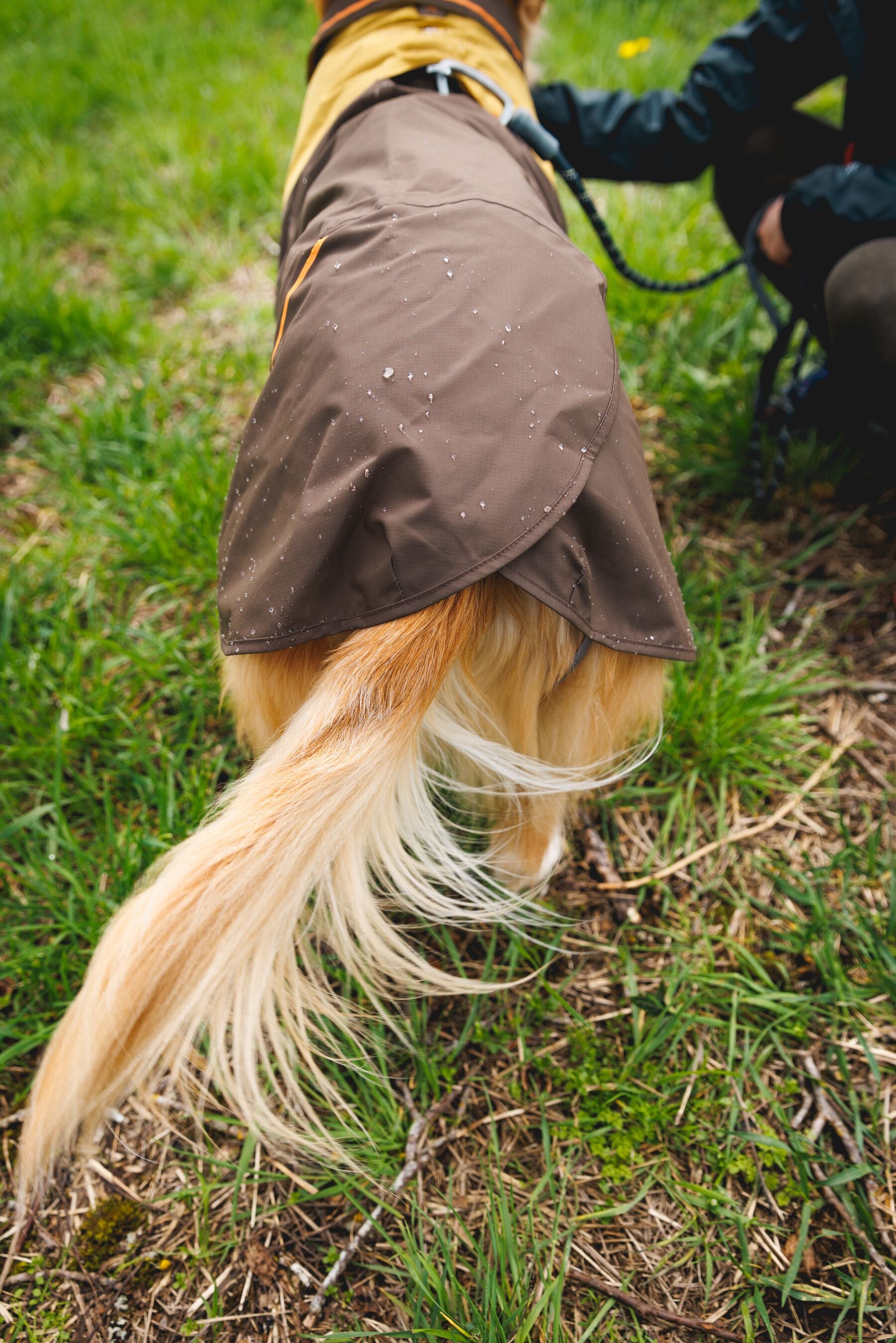 Ruffwear Dog Rain Coat: Sun Shower Jacket