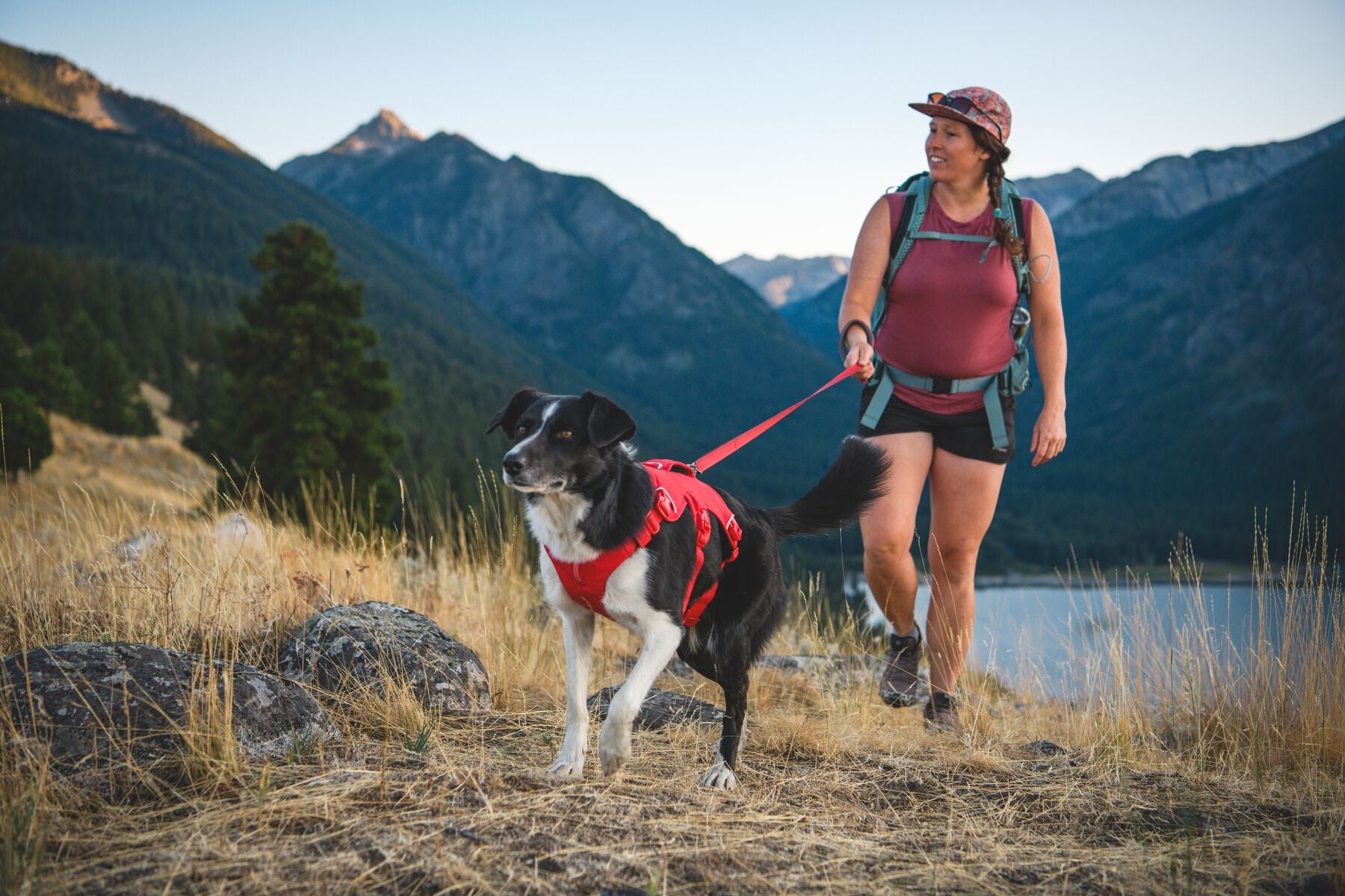 Ruffwear Dog Harness with Neck Buckle and Handle: Web Master