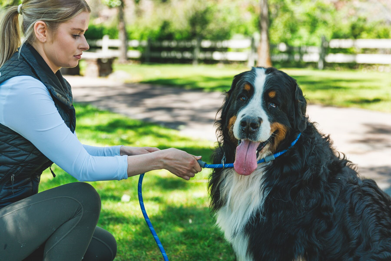 Ruffwear Dog Leash: Just-a-Cinch (new colours)