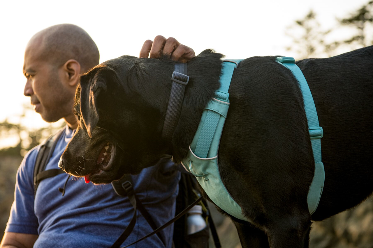 Ruffwear Dog No-Pull Harness, Front Range