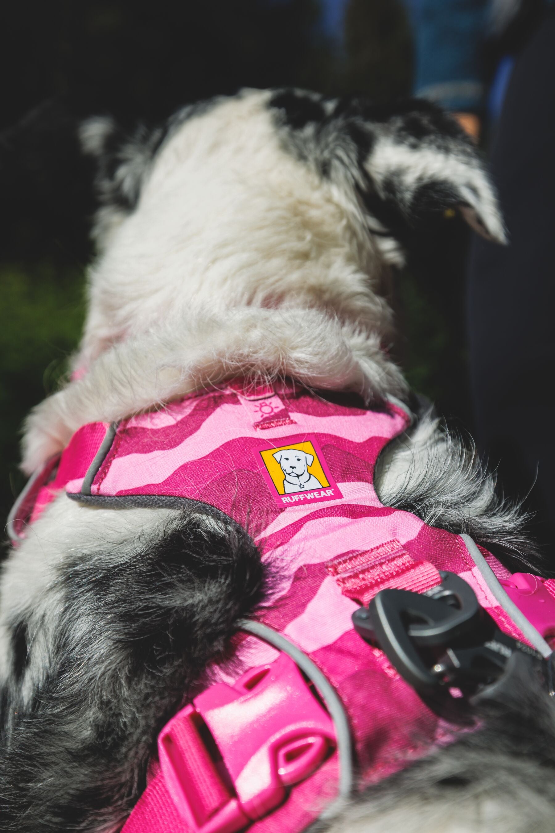 Ruffwear Dog No-Pull Harness, Front Range
