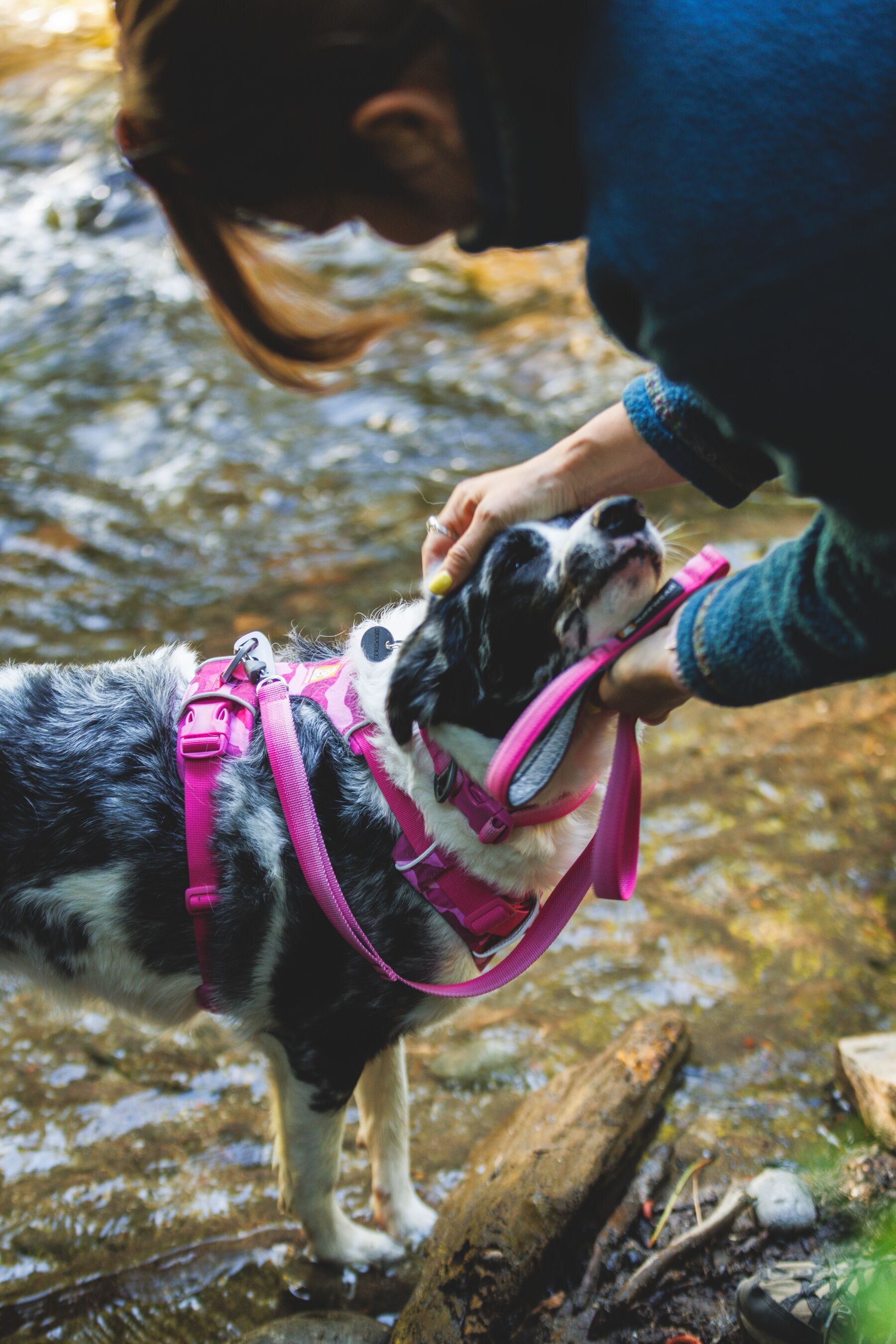 Ruffwear Dog No-Pull Harness, Front Range