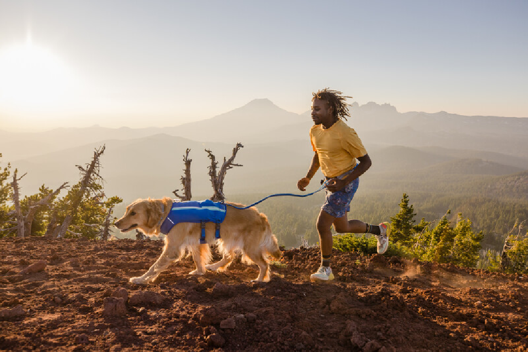 Ruffwear Dog Running Vest, Trail Runner