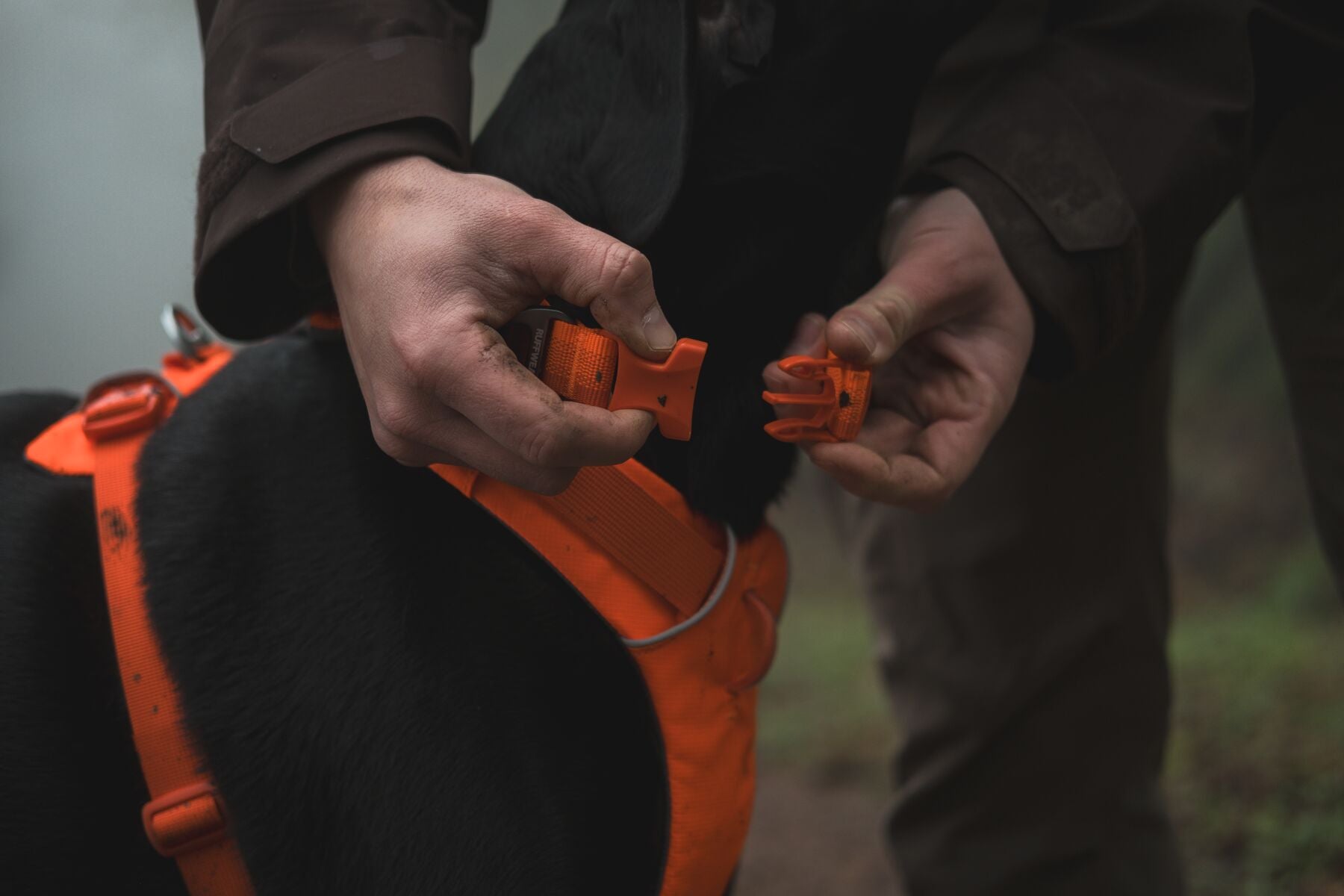 Premium Ruffwear Front Range everyday dog collar made from eco-friendly, colour-fast recycled webbing.