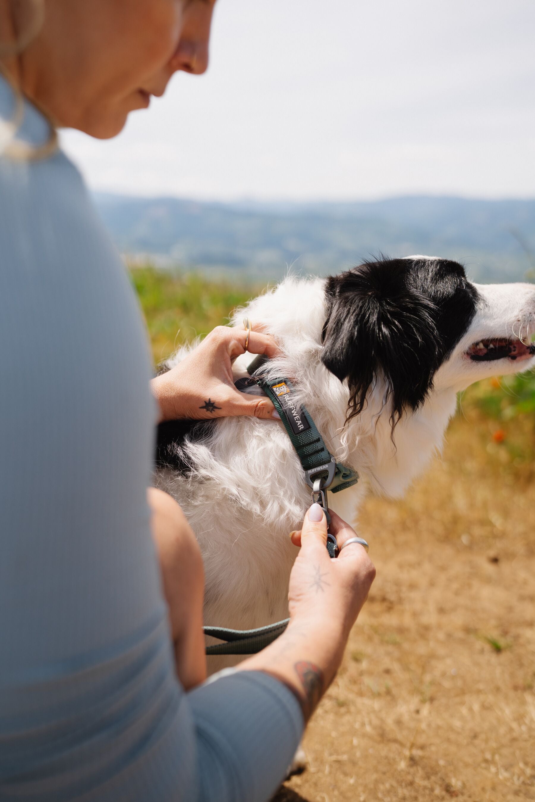 Premium Ruffwear Front Range everyday dog collar made from eco-friendly, colour-fast recycled webbing.