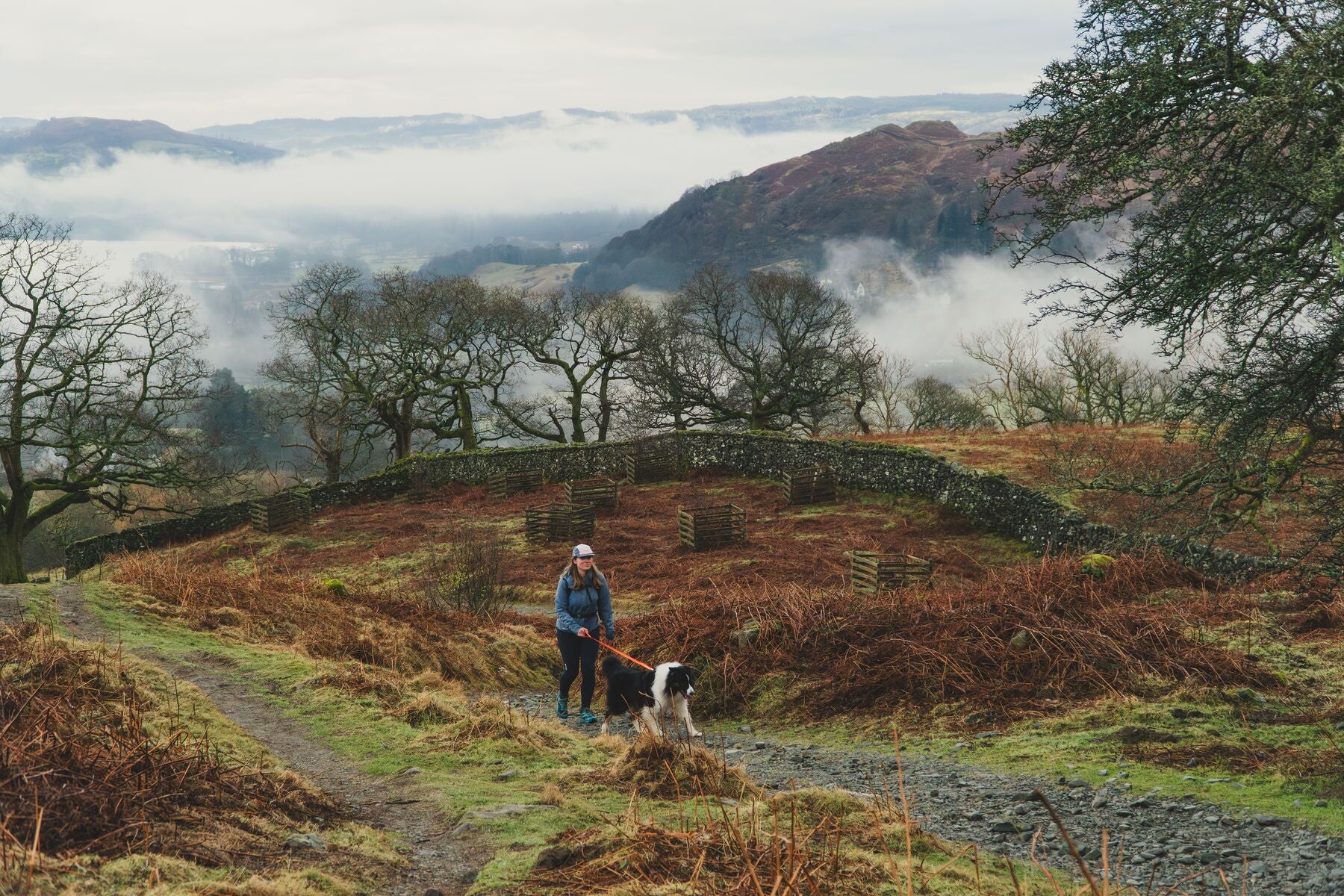 Ruffwear Front Range: Dog Leash