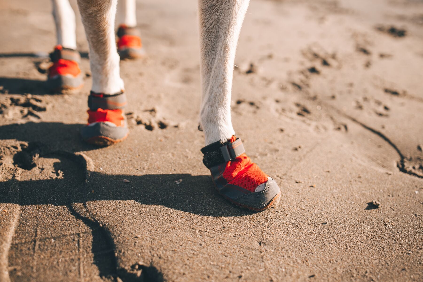 Ruffwear Dog boots: Grip Trex PAIR