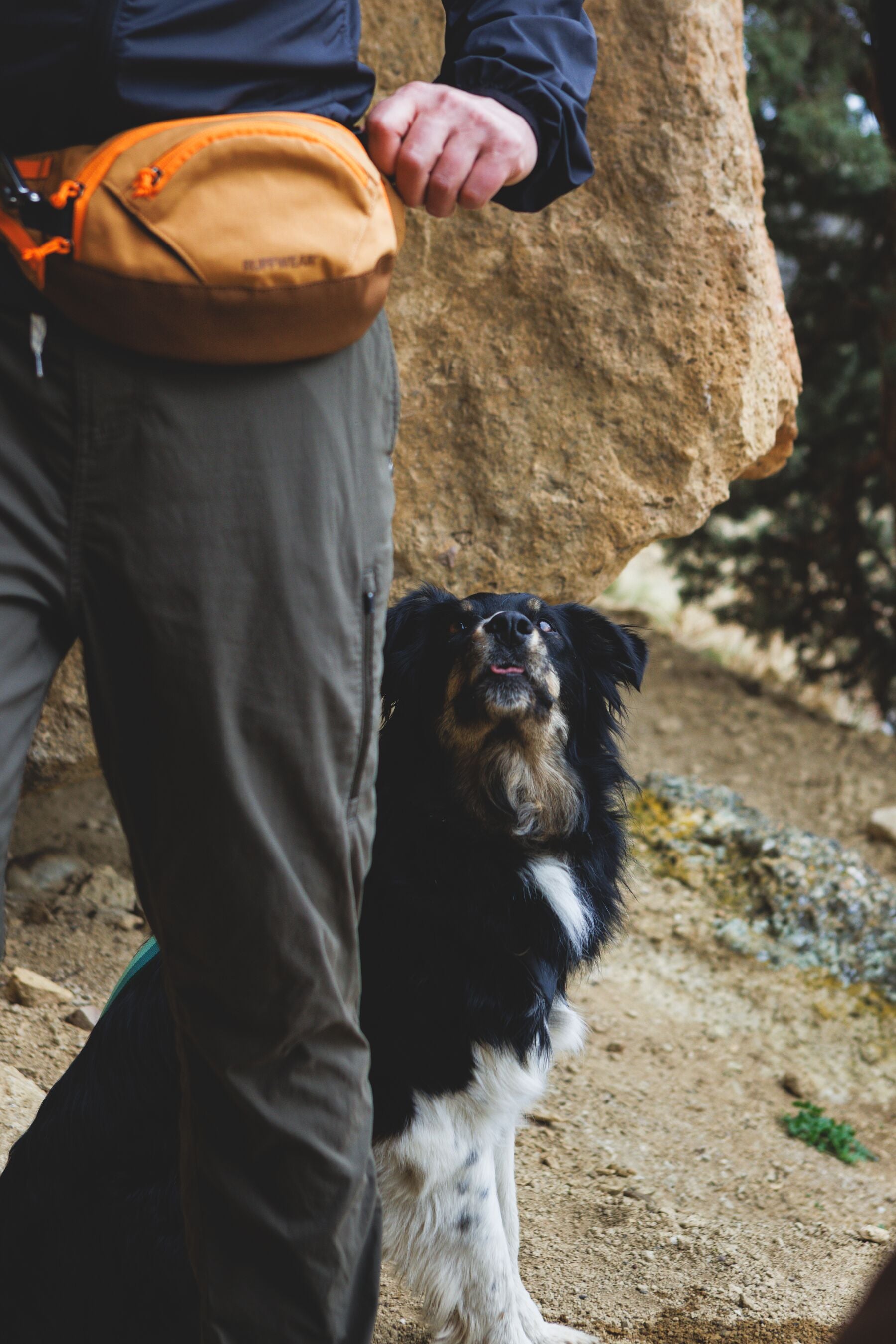 Ruffwear Home Trail Hip Pack for Dog Treats or Walking Essentials
