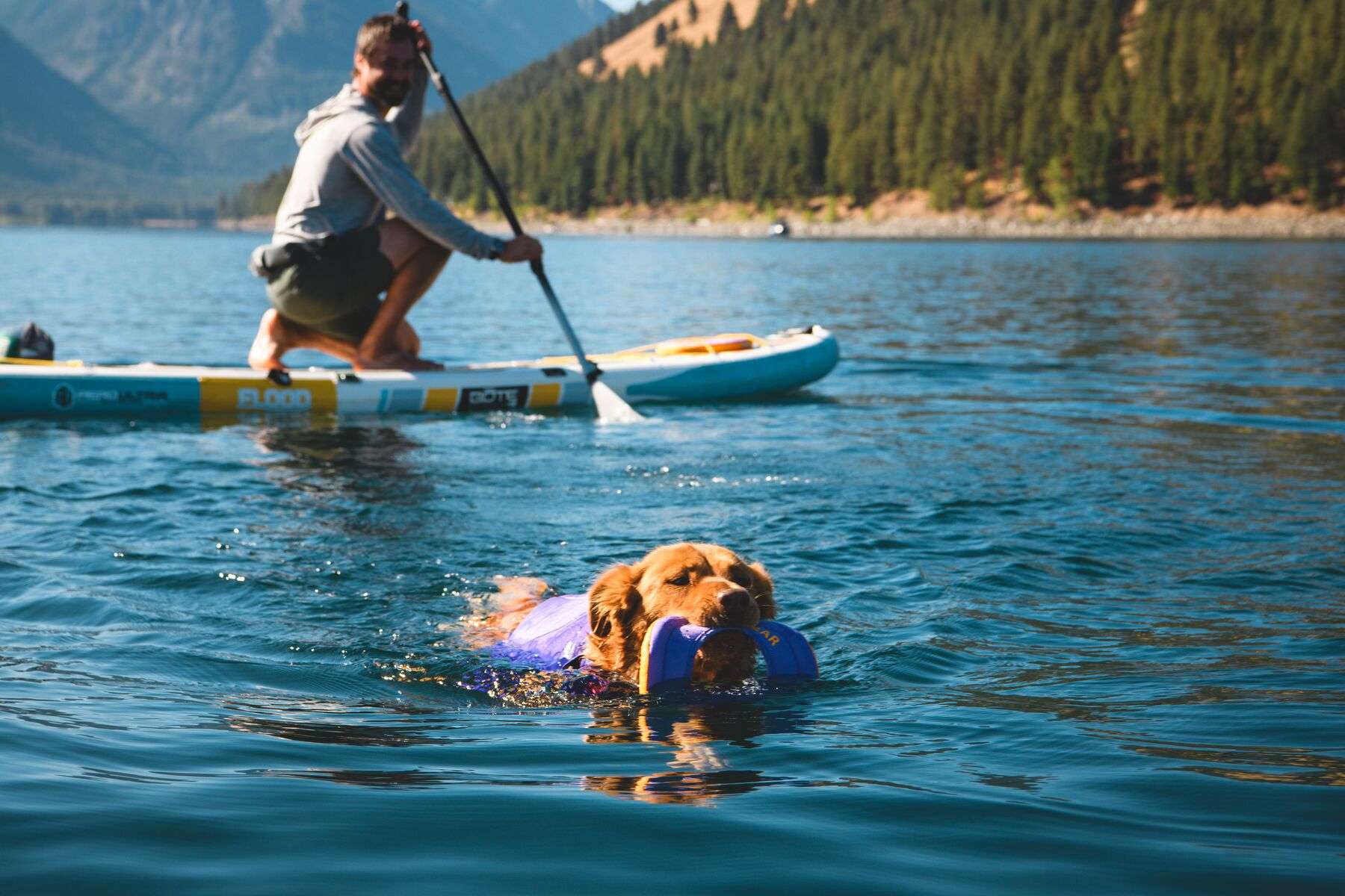 Ruffwear Hydro Plane Floating Throw Dog Toy (New Colours)