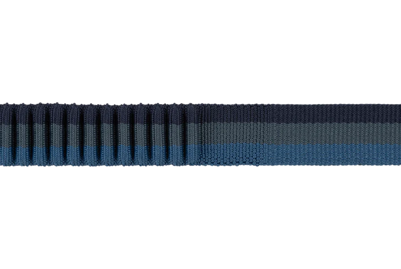 Ruffwear Roamer Bungee Dog Leash