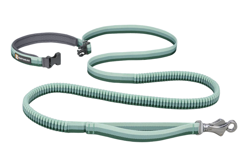 Ruffwear Roamer Bungee Dog Leash