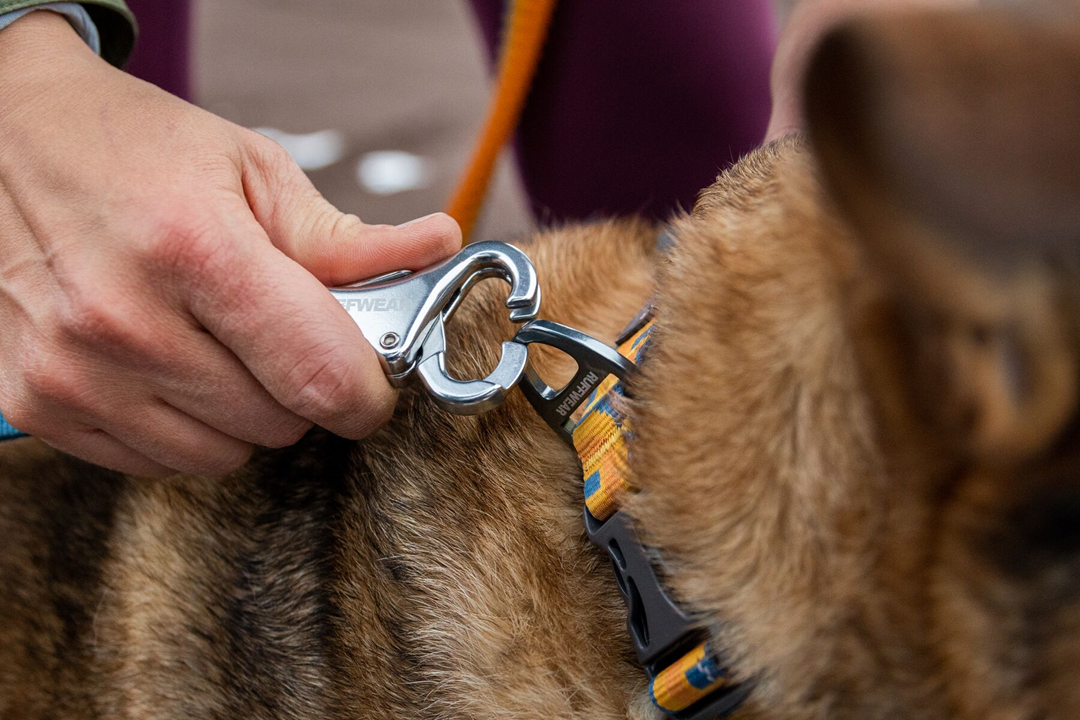 Ruffwear Roamer Bungee Dog Leash