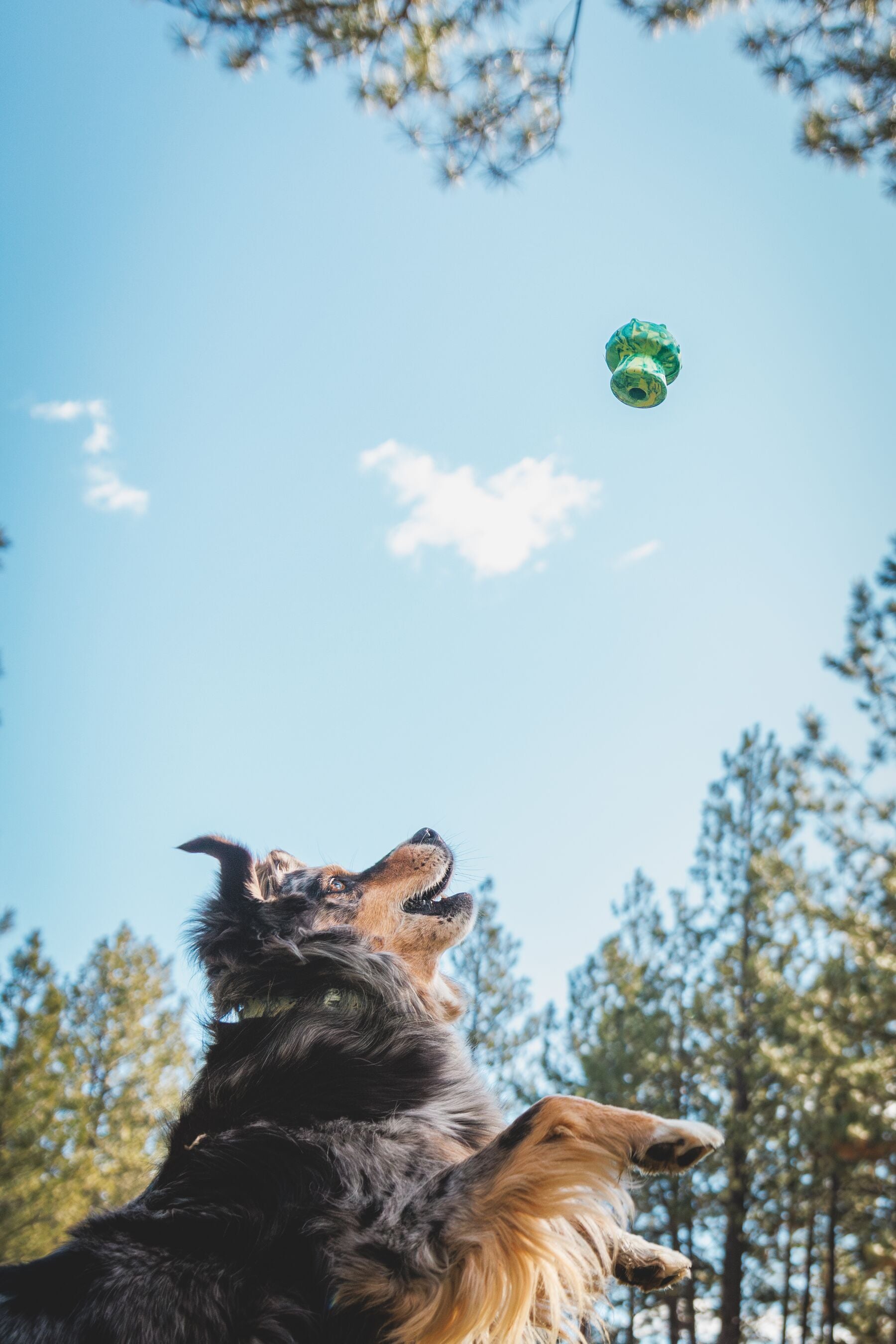 Ruffwear Toadstool Dog Toy | Durable Fetch & Treat Toy