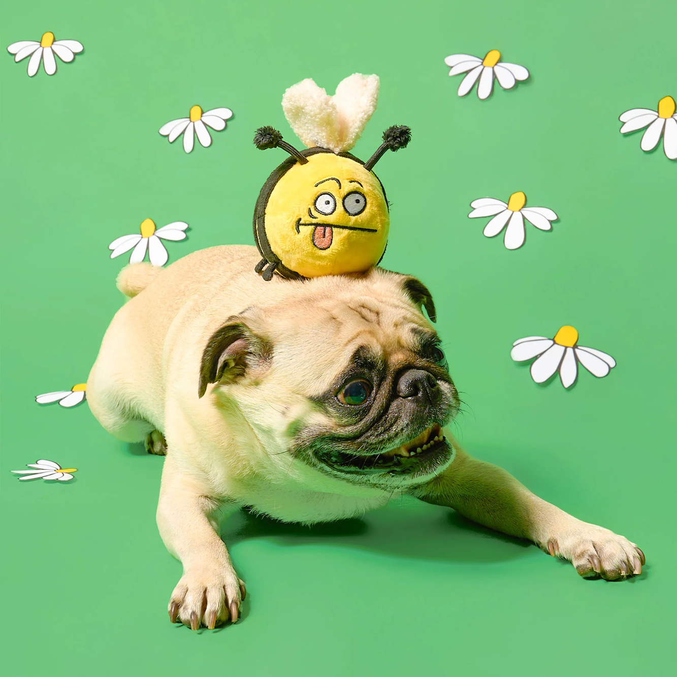 Squeaky Interactive Nosework Dog Toy, Bee Happy