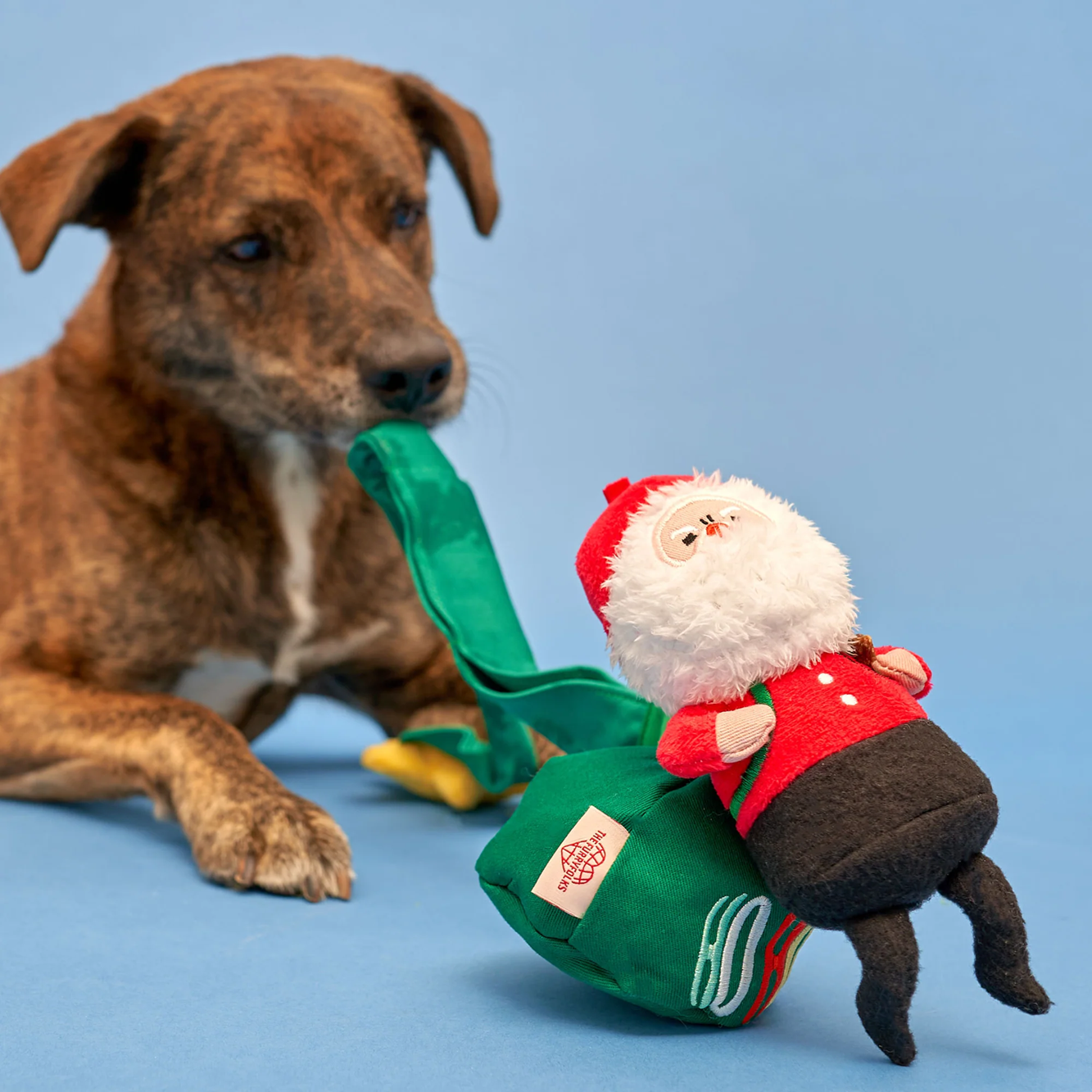 Squeaky Interactive Nosework Dog Toy, Santa Paws