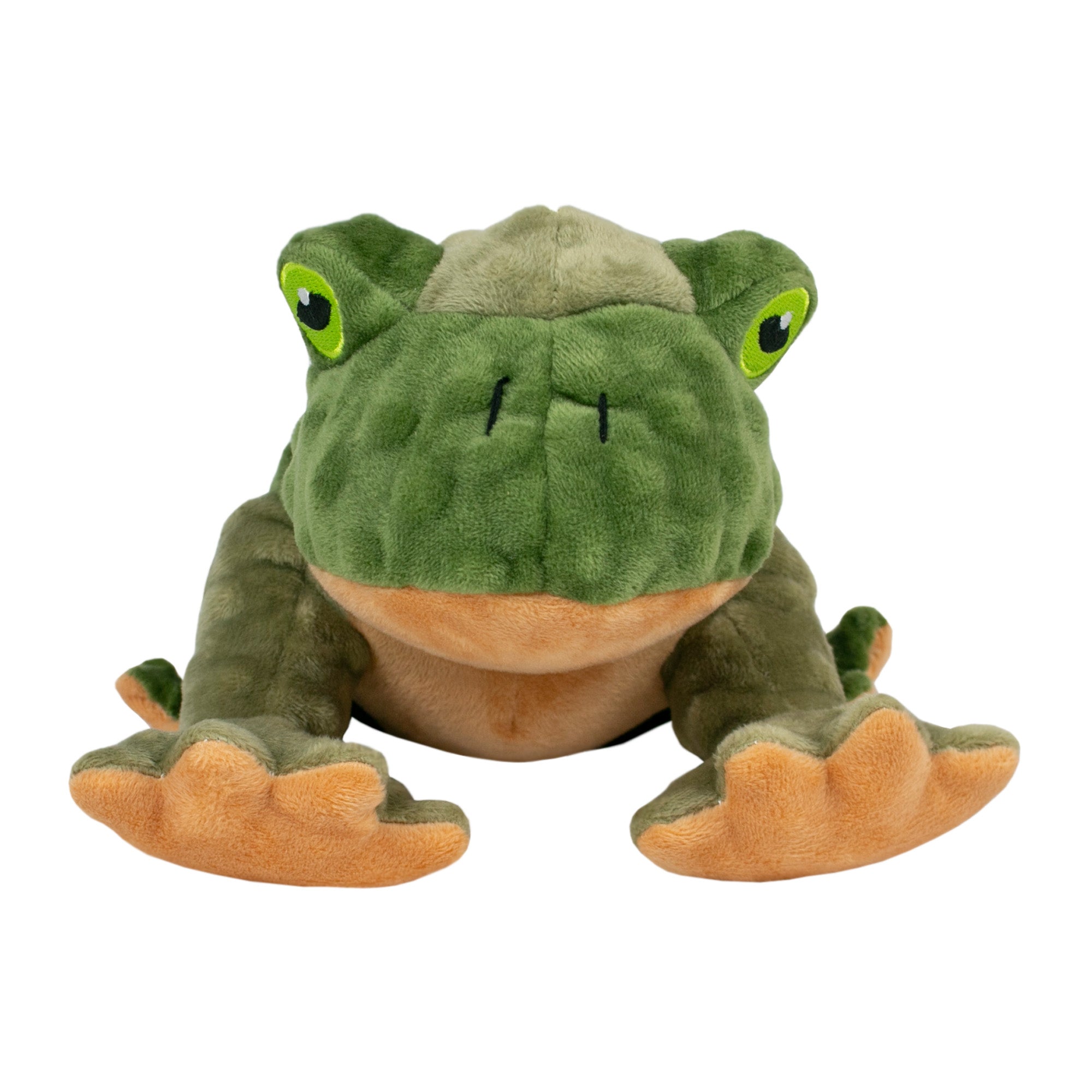 Squeaky Plush Dog Toy: Animated Frog