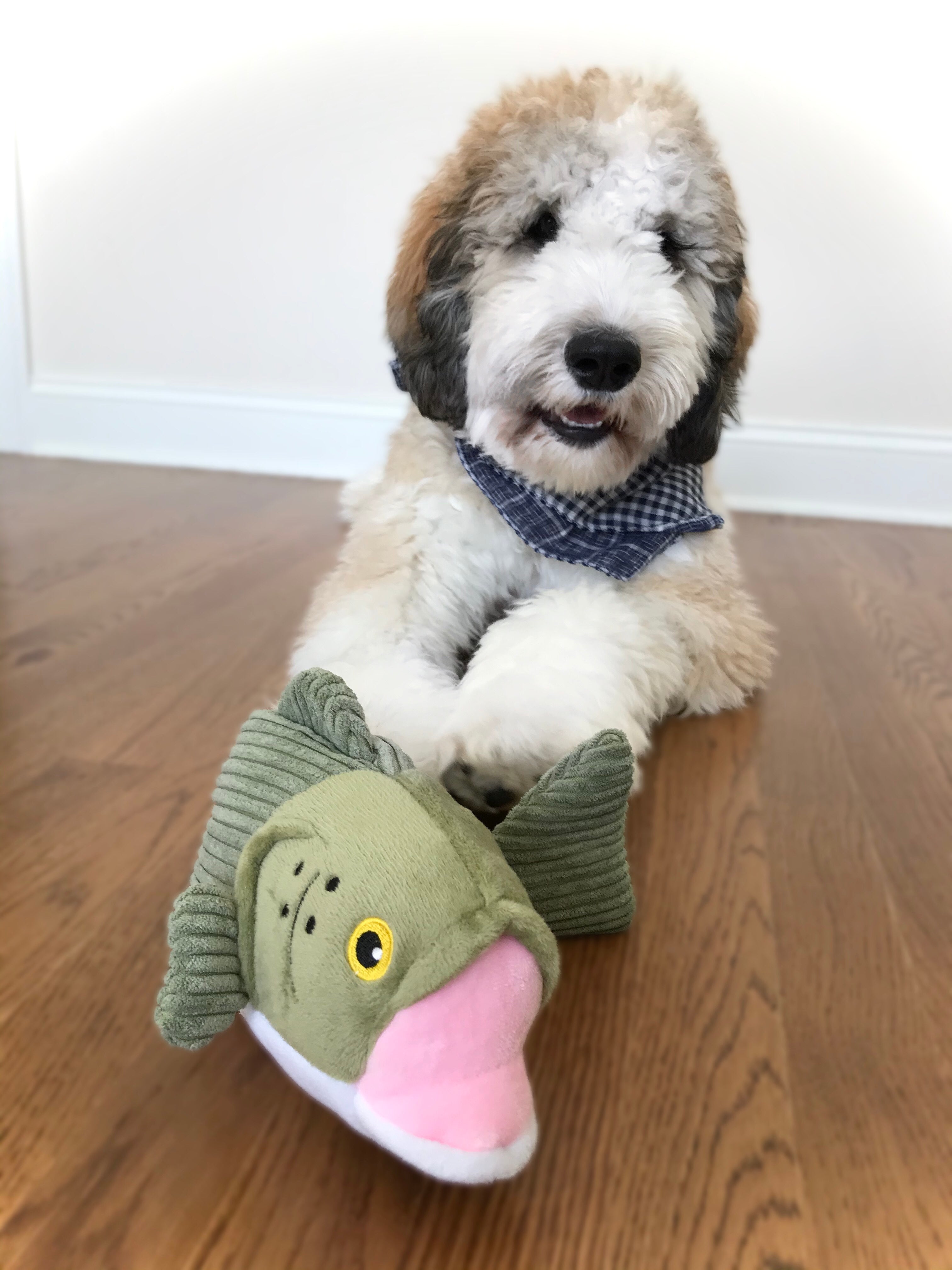 Squeaky Plush Dog Toy: Animated Bass