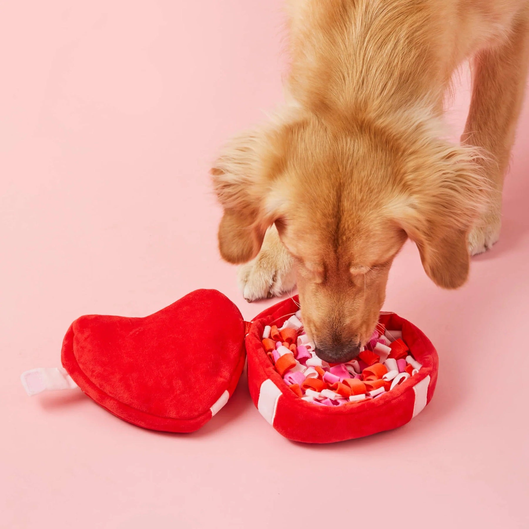 Squeaky Plush Interactive Snuffle Dog Toy, Be My Valentine