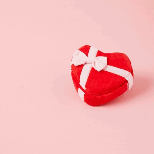 Squeaky Plush Interactive Snuffle Dog Toy, Be My Valentine