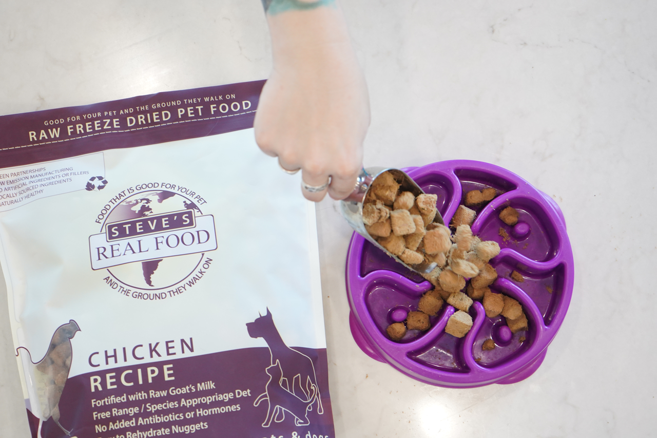 Steve's Real Food Freeze-Dried Raw Dog Food, Chicken Recipe