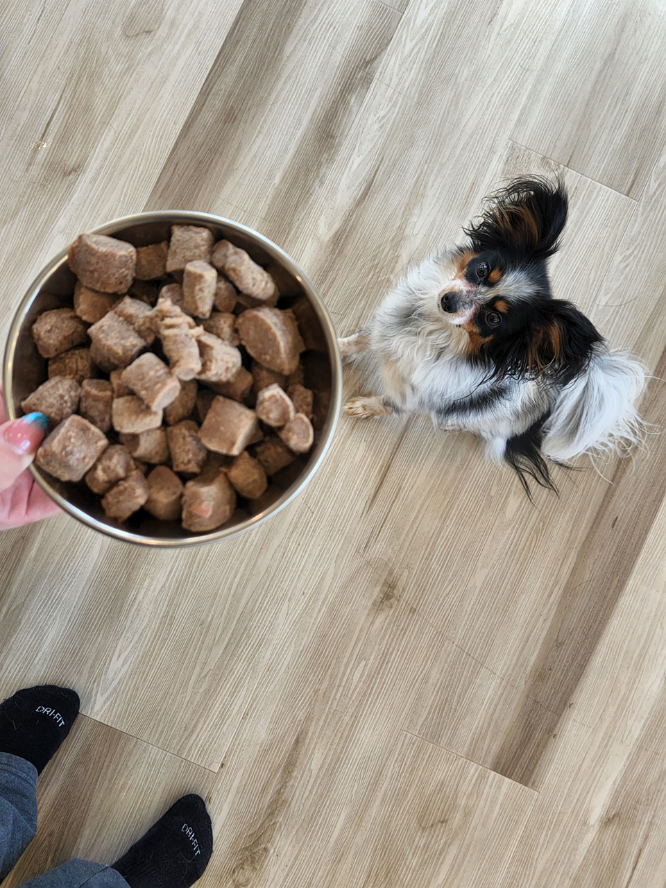 Steve's Real Food Freeze-Dried Raw Dog Food, Turkey Recipe