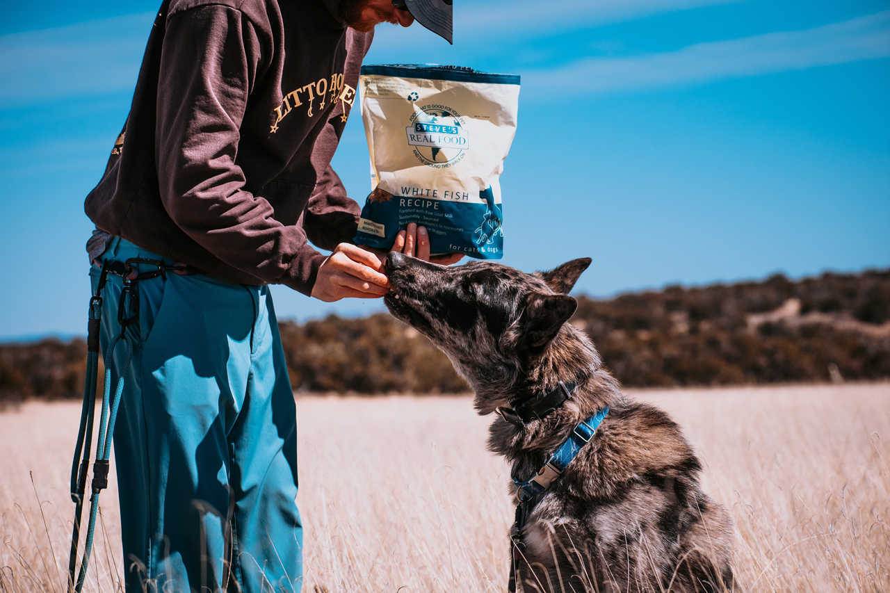 Steve's Real Food Freeze-Dried Raw Dog Food, White Fish Recipe