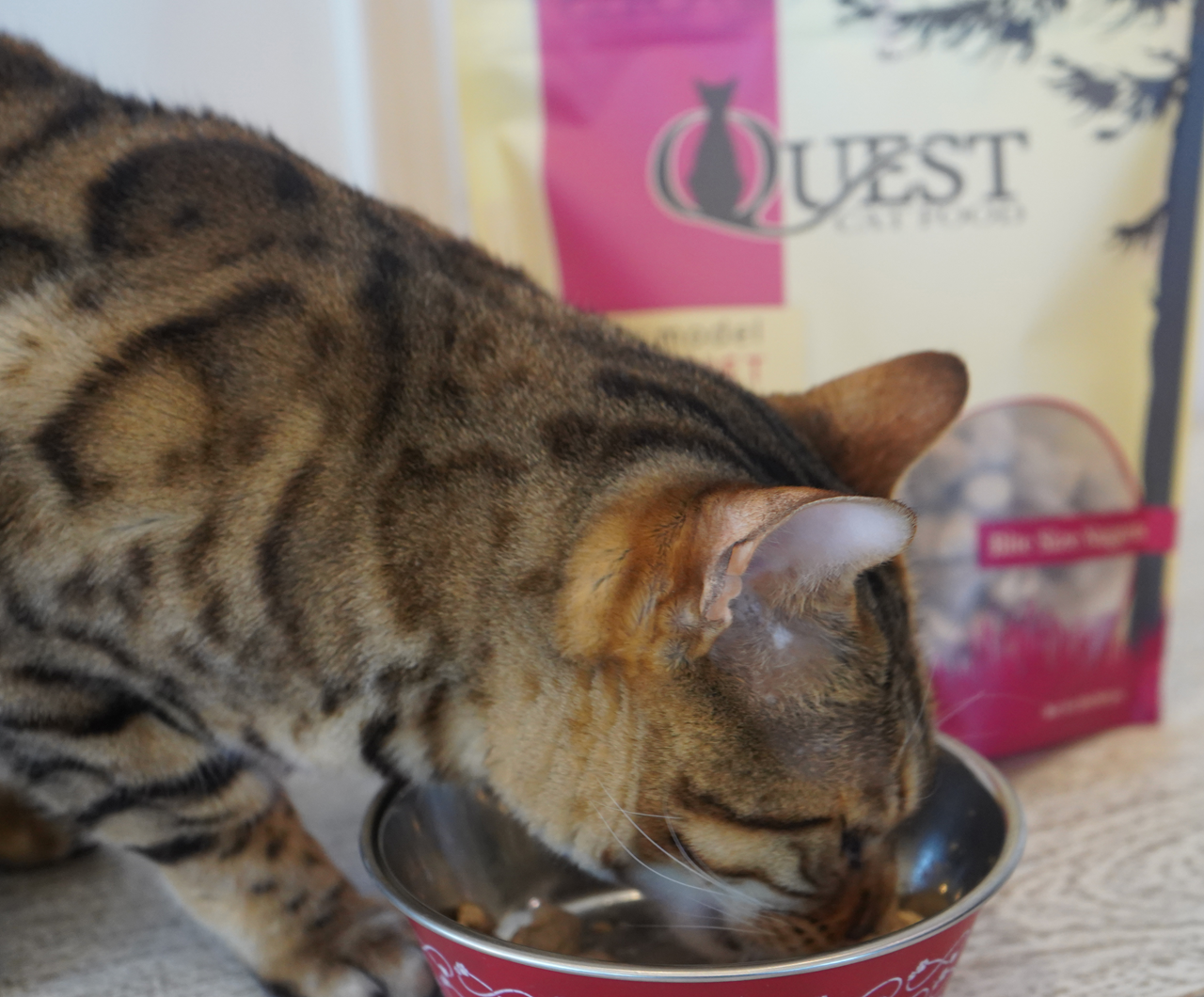 Steve's Real Food Quest Freeze-Dried Raw Cat Food, Chicken Recipe