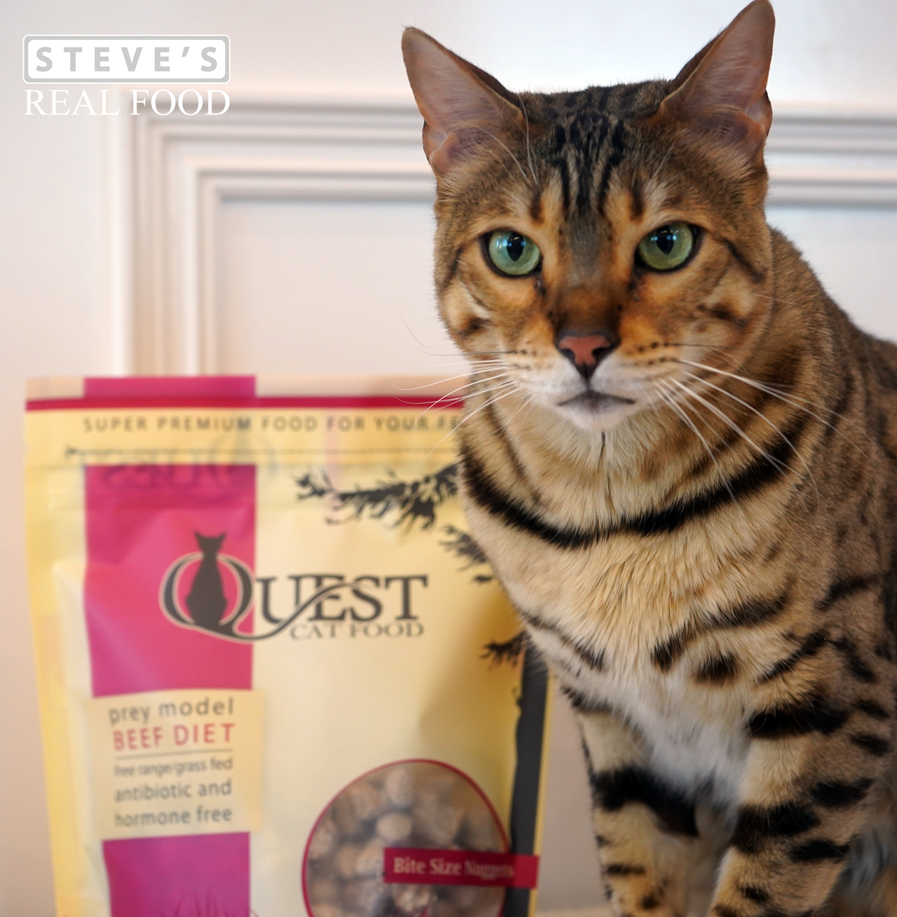 Steve's Real Food Quest Freeze-Dried Raw Cat Food, Beef Recipe