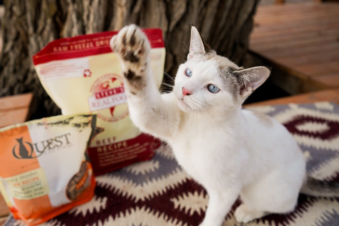 Steve's Real Food Quest Freeze-Dried Raw Cat Food, Chicken Recipe
