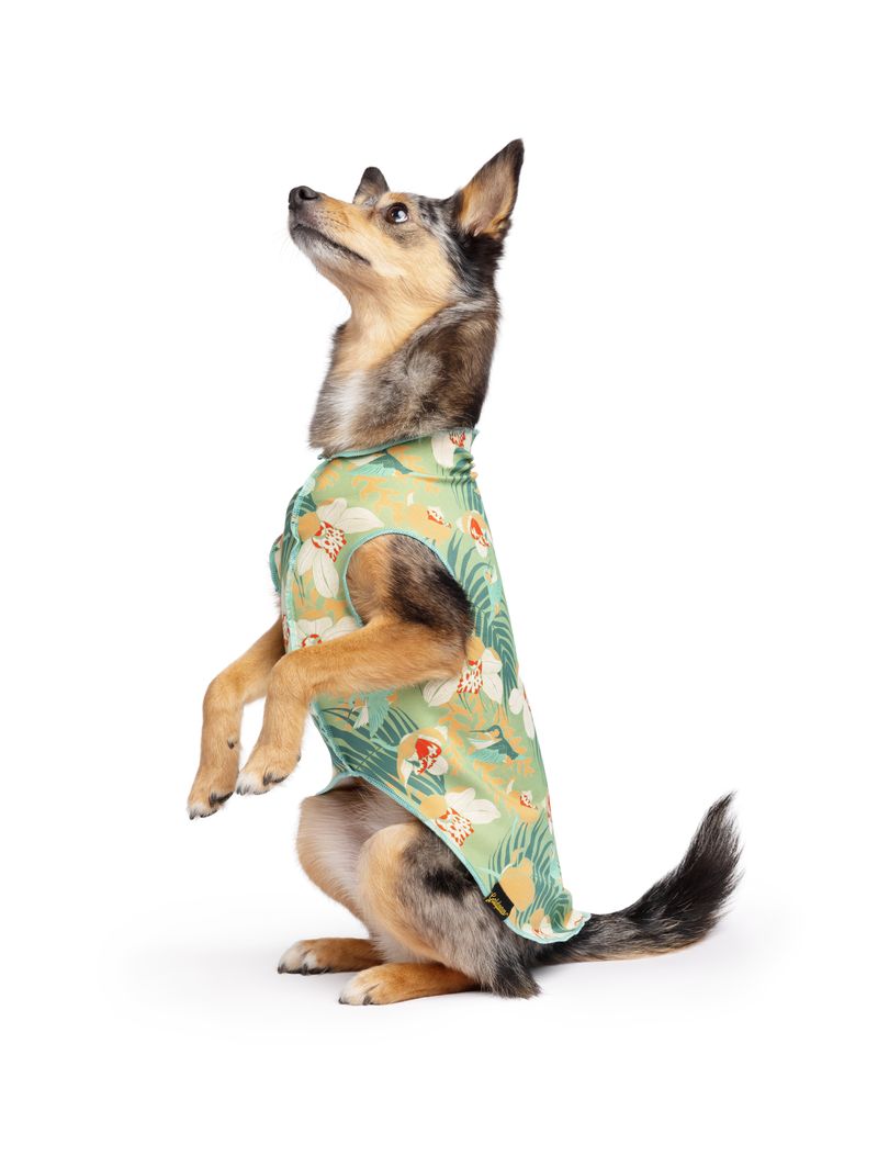 Sun Shield Tee shirts for Dogs and Cats, Hummingbird Jungle (Limited Edition)