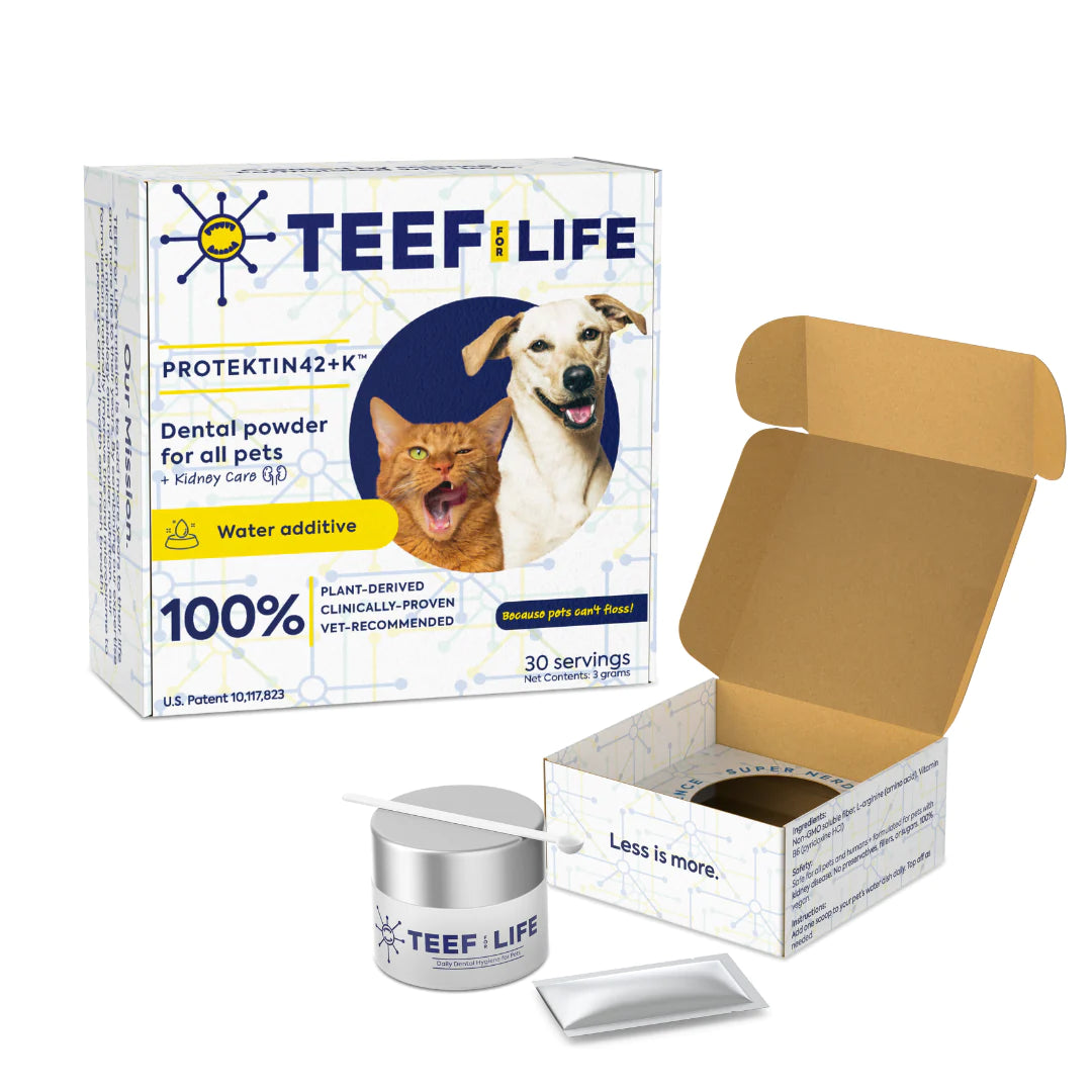 Teef for Life Protektin 42K Sodium-free dog and cat breath freshener water additive powder for sensitive pets needing gentle dental care.