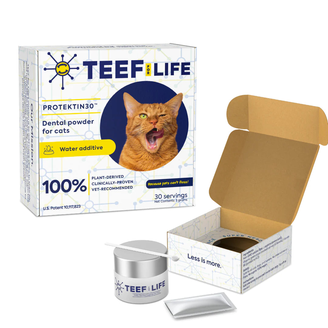 TEEF for Life Protektin30 prebiotic dental powder kit for cats. Vegan water additive for feline oral care.