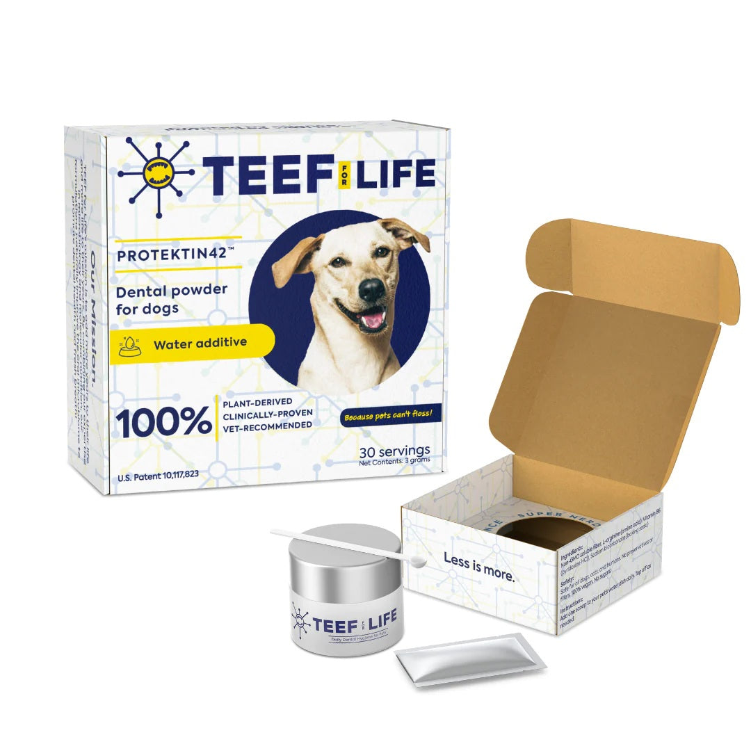TEEF for Life Protektin42 prebiotic dental powder kit for dogs. Vegan water additive for canine oral health.